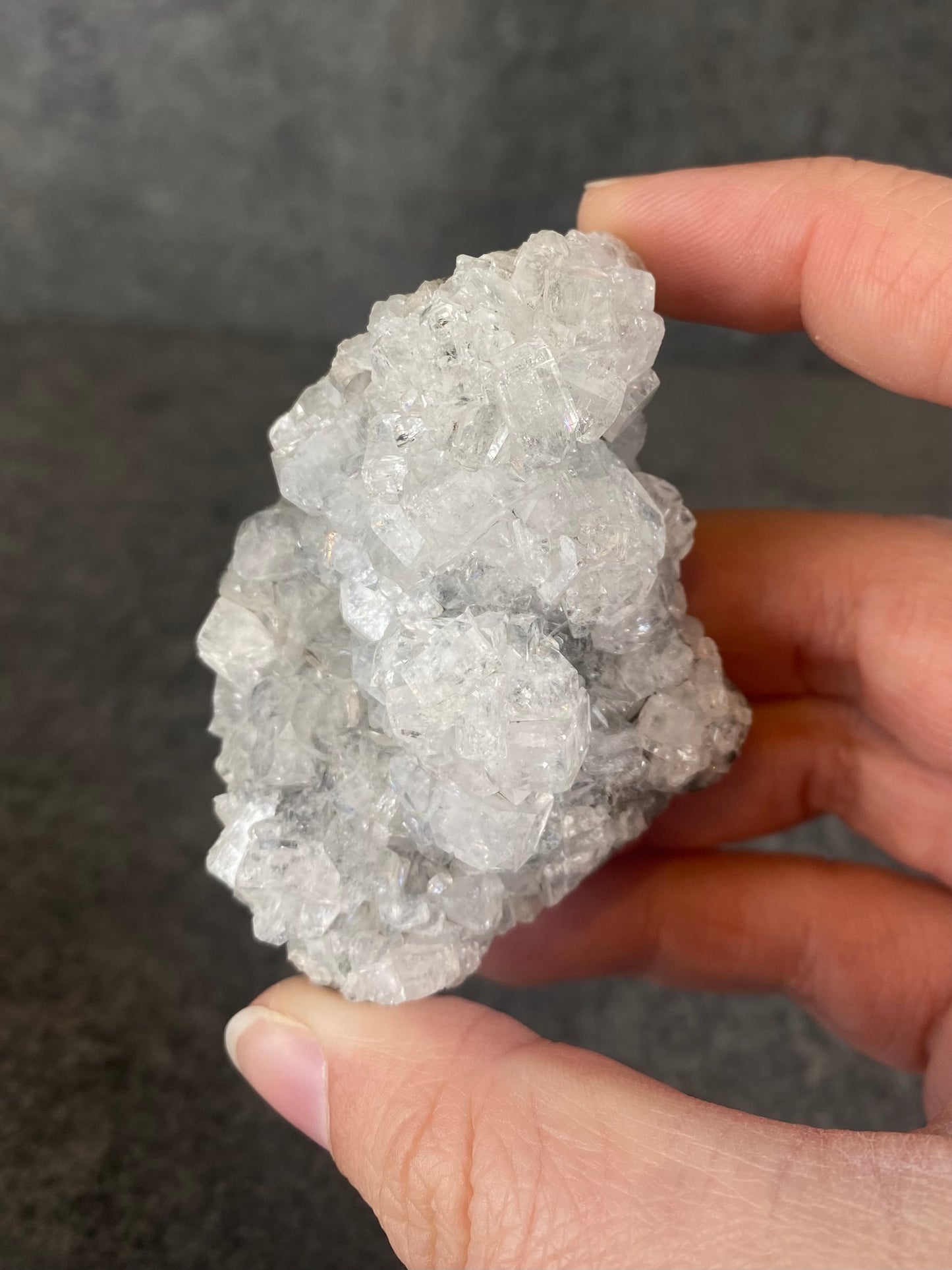 Apofyliet cluster