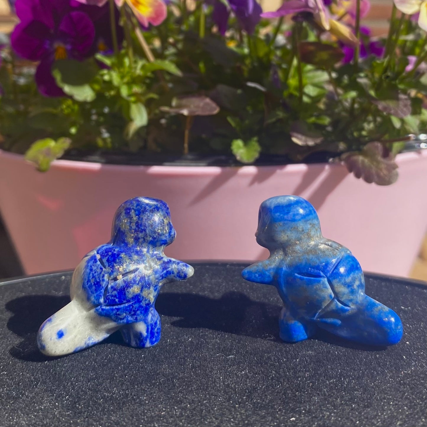 Squirtle carving