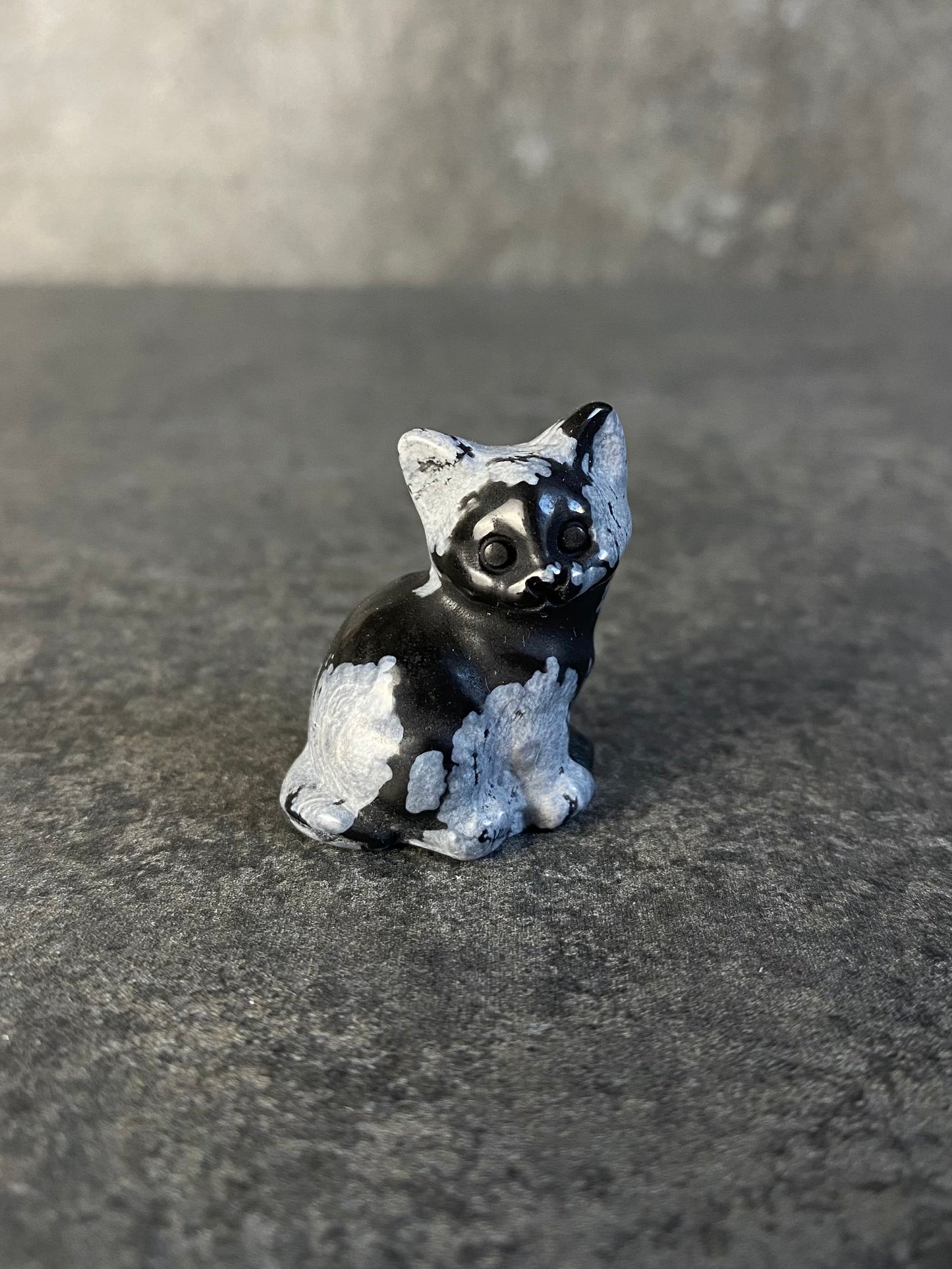 Sneeuwvlok obsidiaan poes carving