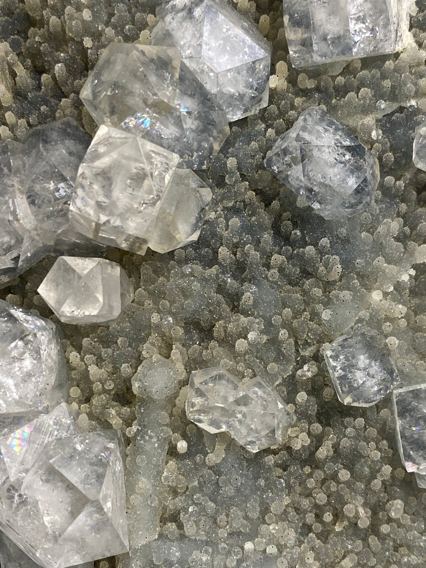 Chalcedoon met apofyliet