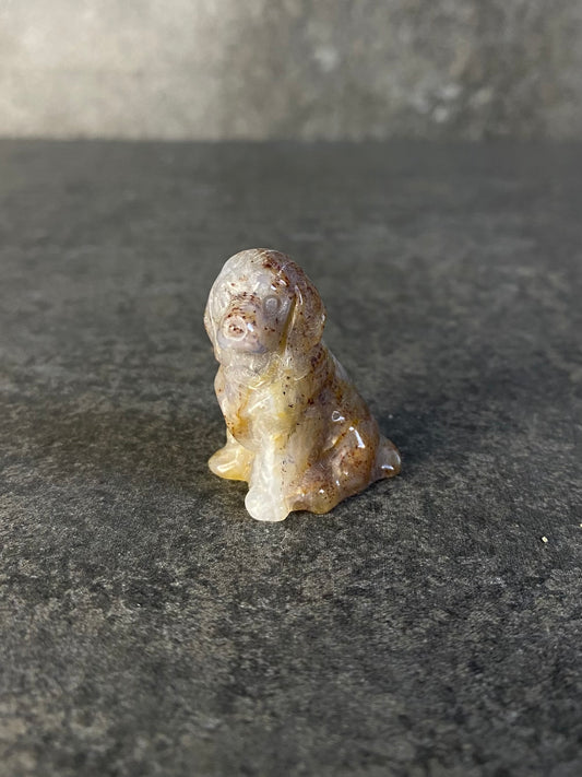 Oceaan jaspis hond carving