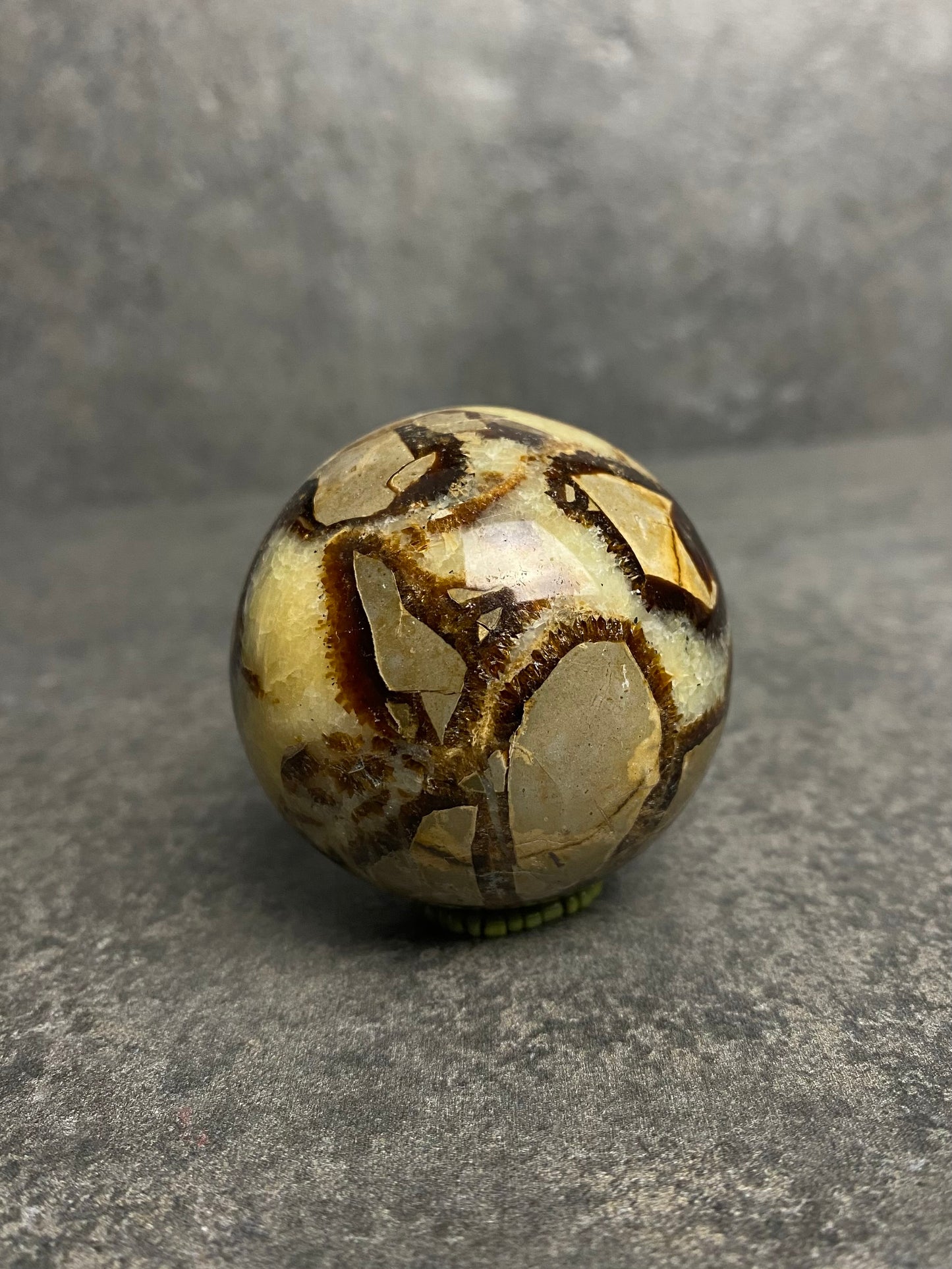 Septarie bol